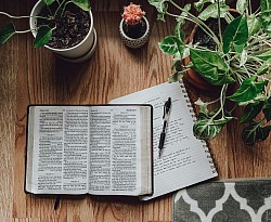Bible study