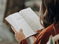 Proverbs